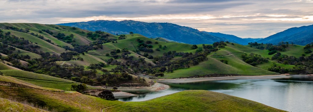 Aerial view of Livermore CA and the Livermore Valley wine country — hair transplant clinic nearby at Blackhawk Hair Restoration Danville